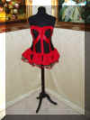 Coccinella.JPG (1114407 byte)