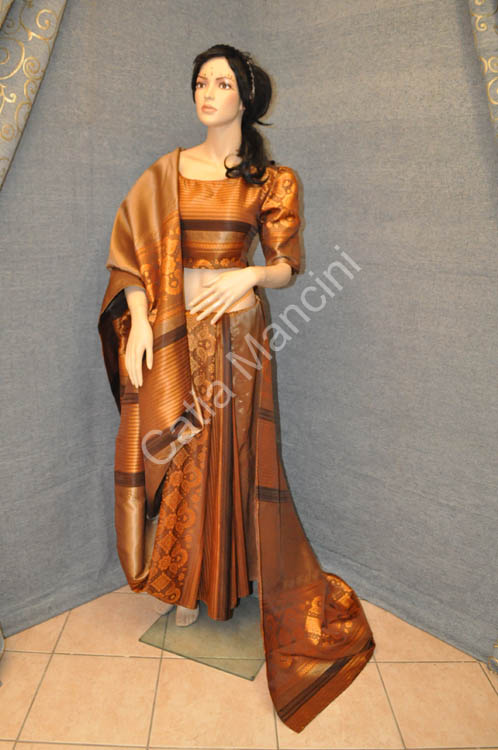 Costume Saree Indiano (5)