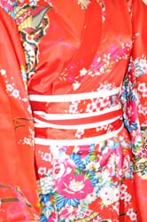 Geisha Costume  (12)