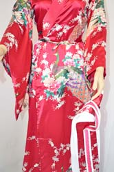 Geisha Costume vestito (14)