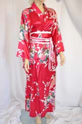 Geisha Costume vestito (3)