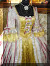 Costume Carnevale di Venezia (10).JPG (1082128 byte)