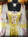 Costume Carnevale di Venezia (2).JPG (1087640 byte)