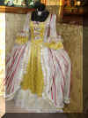 Costume Carnevale di Venezia (5).JPG (1087056 byte)