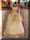 Costume Teatrale (1).JPG (1093973 byte)