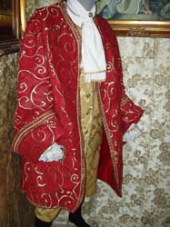 Costumi