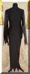 Costume Morticia Addams (1).JPG (591458 byte)