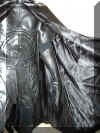 Costume Batman (14).JPG (1248701 byte)