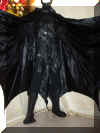 Costume Batman (16).JPG (1011879 byte)